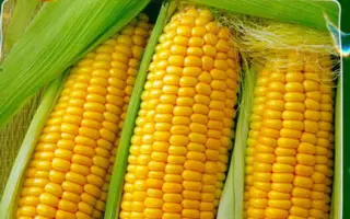 Glutexo / Глютексо