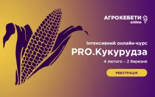 Digital / Діджитал