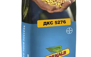 DKC 5276 / ДКС 5276