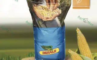 DKC3402 / ДКС3402