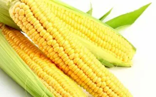 DKC3795 / ДКС3795