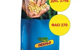 DKC3796 / ДКС3796