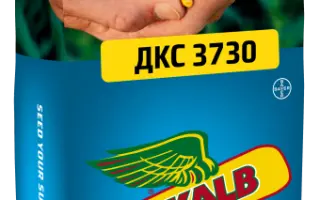 DKC3830 / ДКС3830