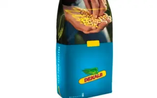 DKC4231 / ДКС4231