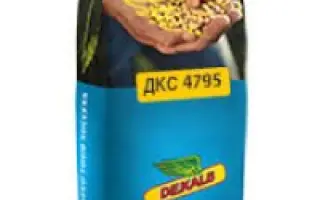 DKC4795 / ДКС4795