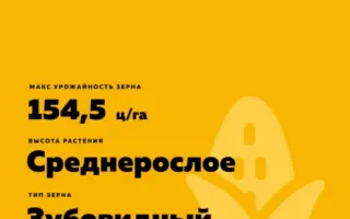 DKC4897 / ДКС4897