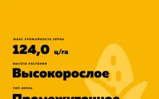 DKC5182 / ДКС5182