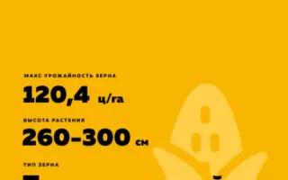 DKC5190 / ДКС5190