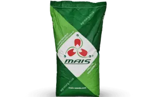 ДМ Домінанта