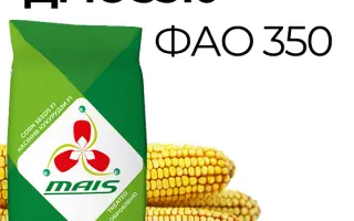 DMS Epos / ДМС Епос