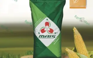 DMS3477 / ДМС3477