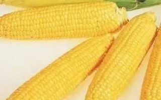 ДН Пульсація