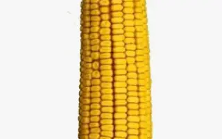 Днепровский 181 СВ / Дніпровський 181 СВ