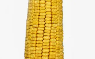 Дніпровський 257 СВ