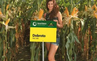 Dobroto / Доброто