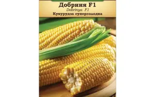 DOSSIAN / ДОССІАН