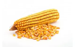 Достаток 300 МВ