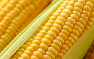 Evgeni CS / Евжені КС