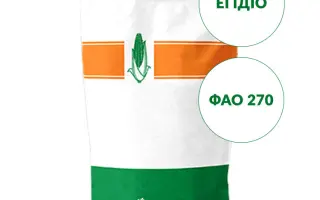 EGIDIO / ЕГІДІО