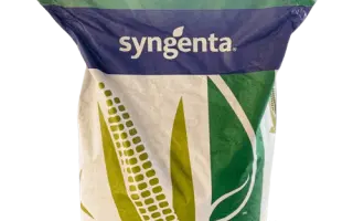 EGLANTEEN / ЕГЛАНТІН