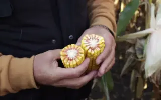 EXXCLAM / ЕККСКЛАМ