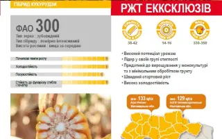 EXXCLUSIV / ЕККСКЛЮЗІВ