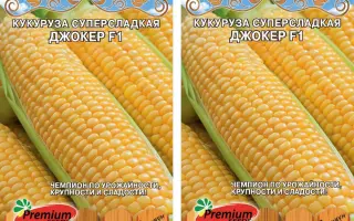 ES JOKER / ЕС ДЖОКЕР