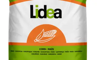 ES Inventive / ЕС ІНВЕНТІВ