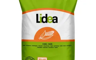 ES CALDERON / ЕС КАЛДЕРОН