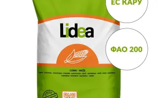 ES KARRU / ЕС КАРУ