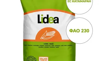 ES KATAMARAN / ЕС КАТАМАРАН