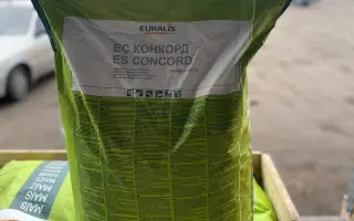 ES CONCORD / ЕС КОНКОРД