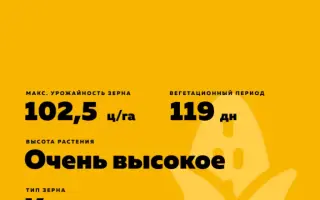 ES METRONOM / ЕС МЕТРОНОМ