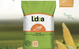 ES MOSQUITO / ЕС МОСКІТО