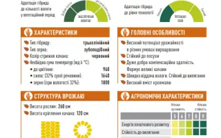 ES Sensor / ЕС Сенсор