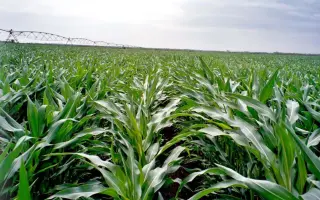 ES SKYTOWER / ЕС СКАЙТАВЕР