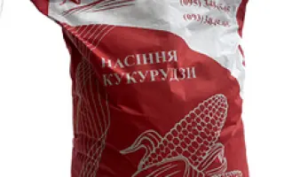 ES SUBMARINE / ЕС СУБМАРИНА