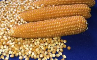 Estilla / Естілла