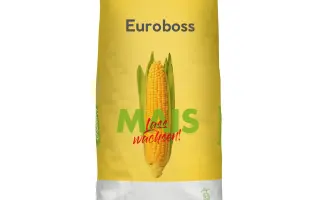 Euroboss / Євробос