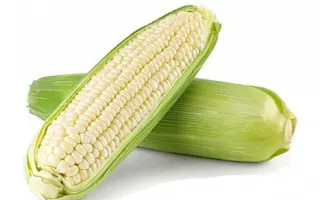 Siricus / Зірікус