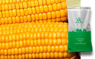 ZPSC 366 / ЗПСК 366