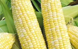 Інгульський