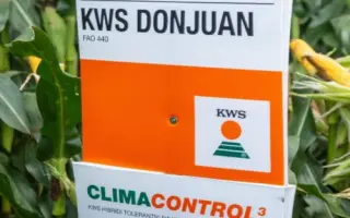 KWS DONJUAN / КВС ДОНЖУАН