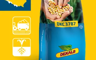 DKC3787 / ДКС3787