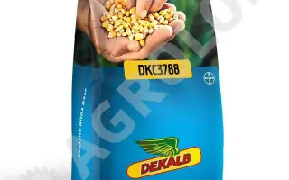 DKC3788 / ДКС3788