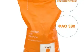 KWS INTELIGENS / КВС ІНТЕЛЕГЕНС