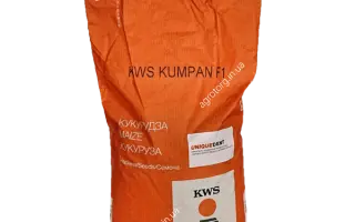 KWS KUMPAN / КВС КУМПАН