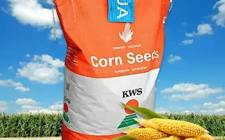 KWS MAURILIO / КВС МАУРІЛІО