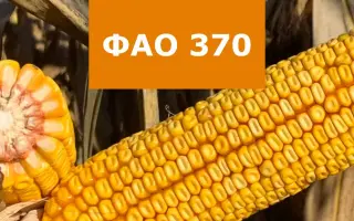 Kerala / Керала