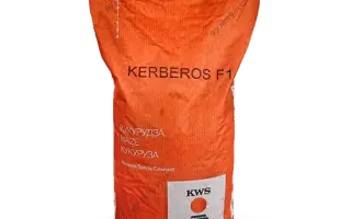 Kerberos / Керберос